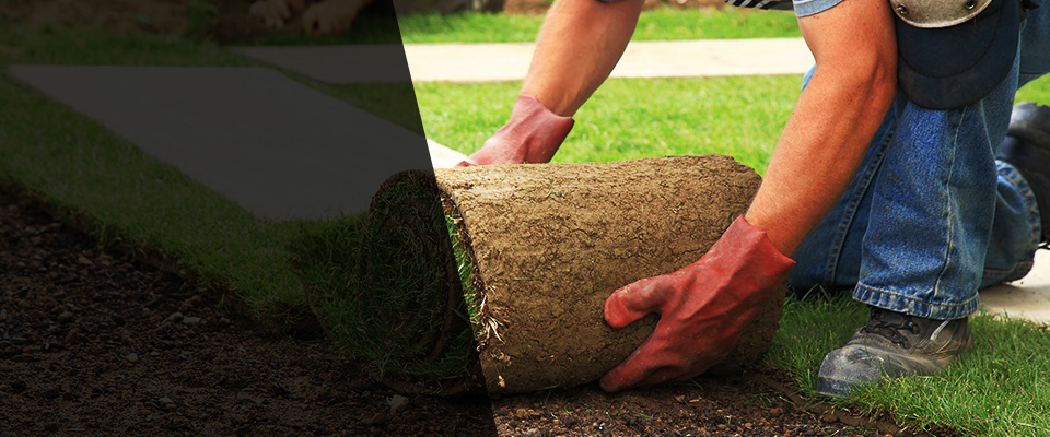 Lincoln Landscapers
